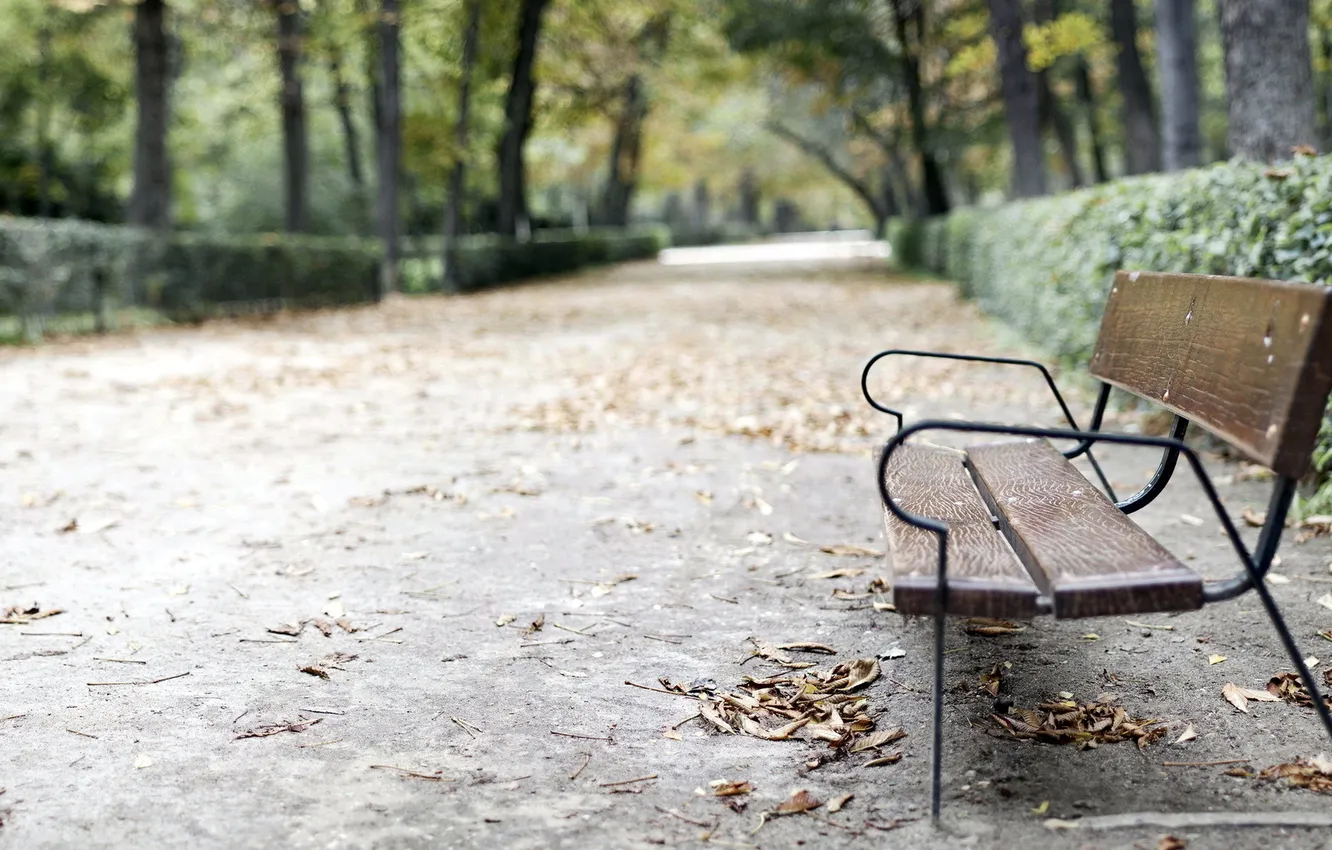 Photo wallpaper autumn, the city, Park, bench