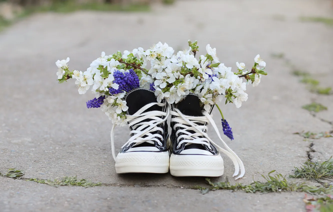 Photo wallpaper flowers, branches, cherry, shoes, sneakers, bouquet, white, the sidewalk