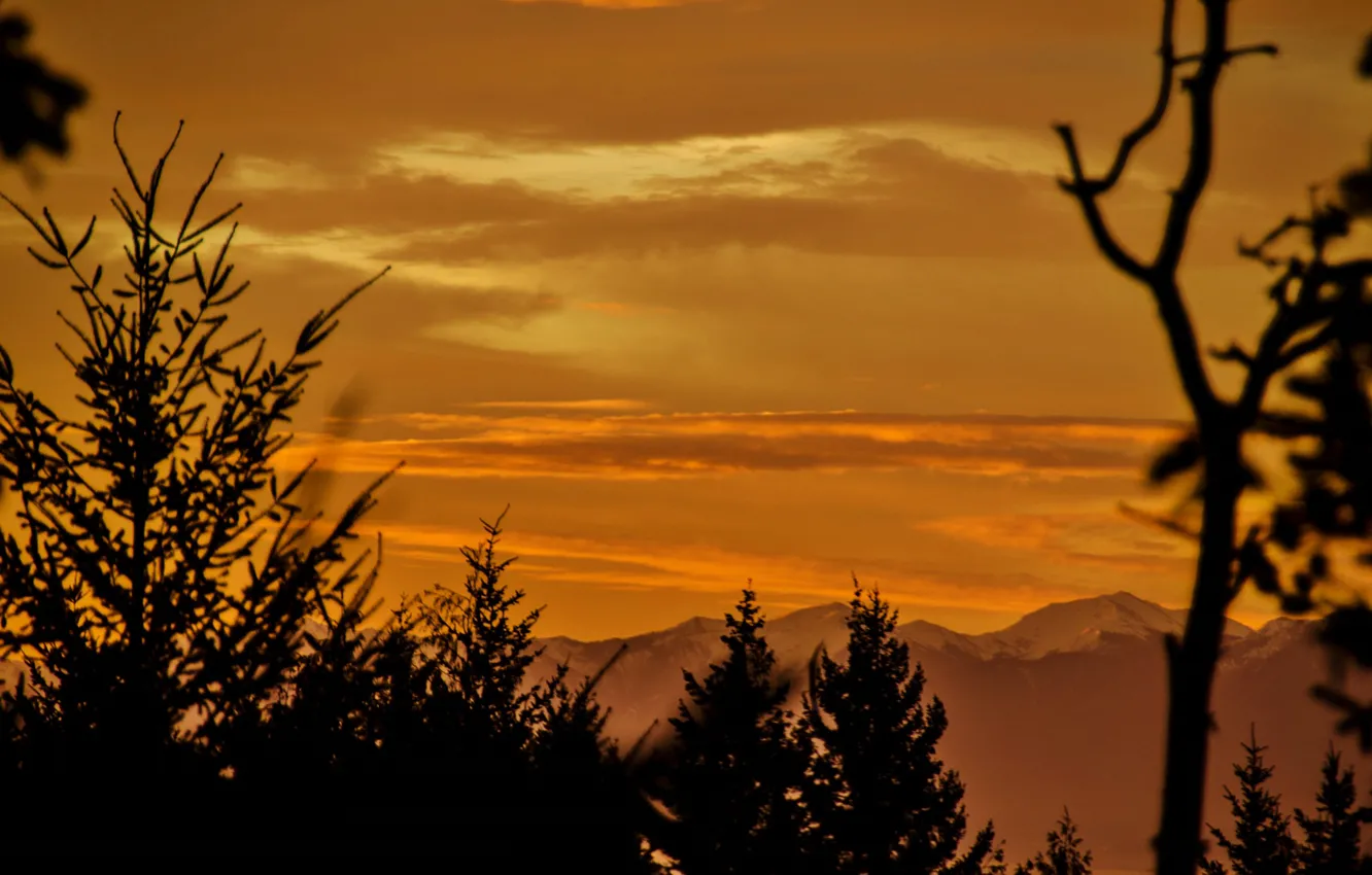 Photo wallpaper clouds, trees, mountains, silhouette, glow
