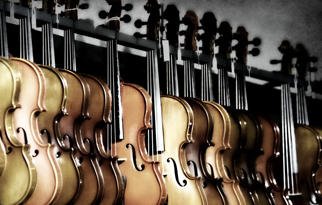 Photo wallpaper music, background, violin