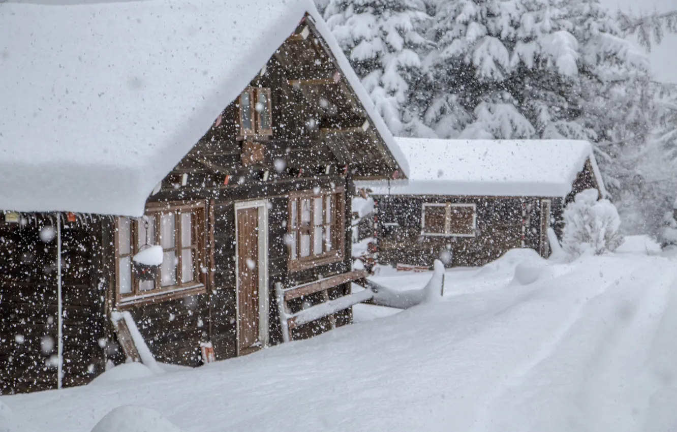 Photo wallpaper Snowfall, Winter Forest, Snowfall, Winter Forest, Snow-covered House, Snow-Covered House