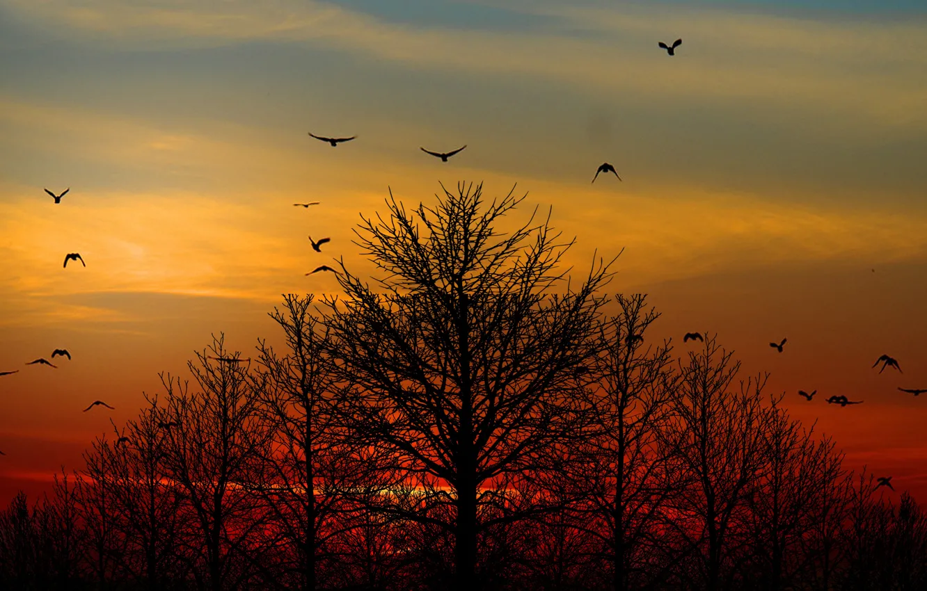 Photo wallpaper twilight, sky, sunset, night, clouds, sun