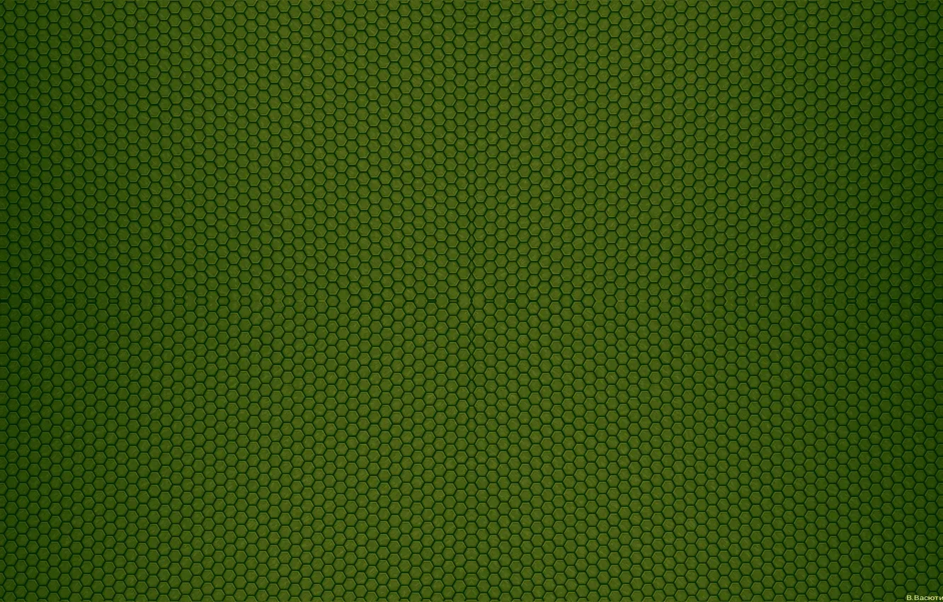 Photo wallpaper green, saver, shades