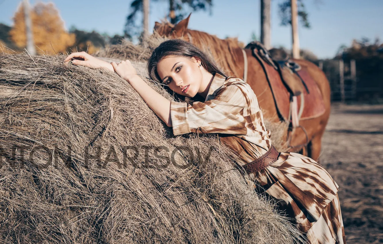 Photo wallpaper look, the sun, pose, model, horse, portrait, makeup, dress