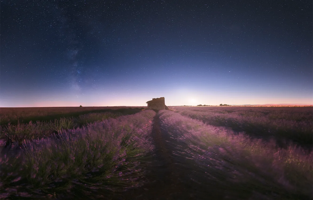 Photo wallpaper flowers, night, the wind, blur, house, the ranks, lavender, starry sky