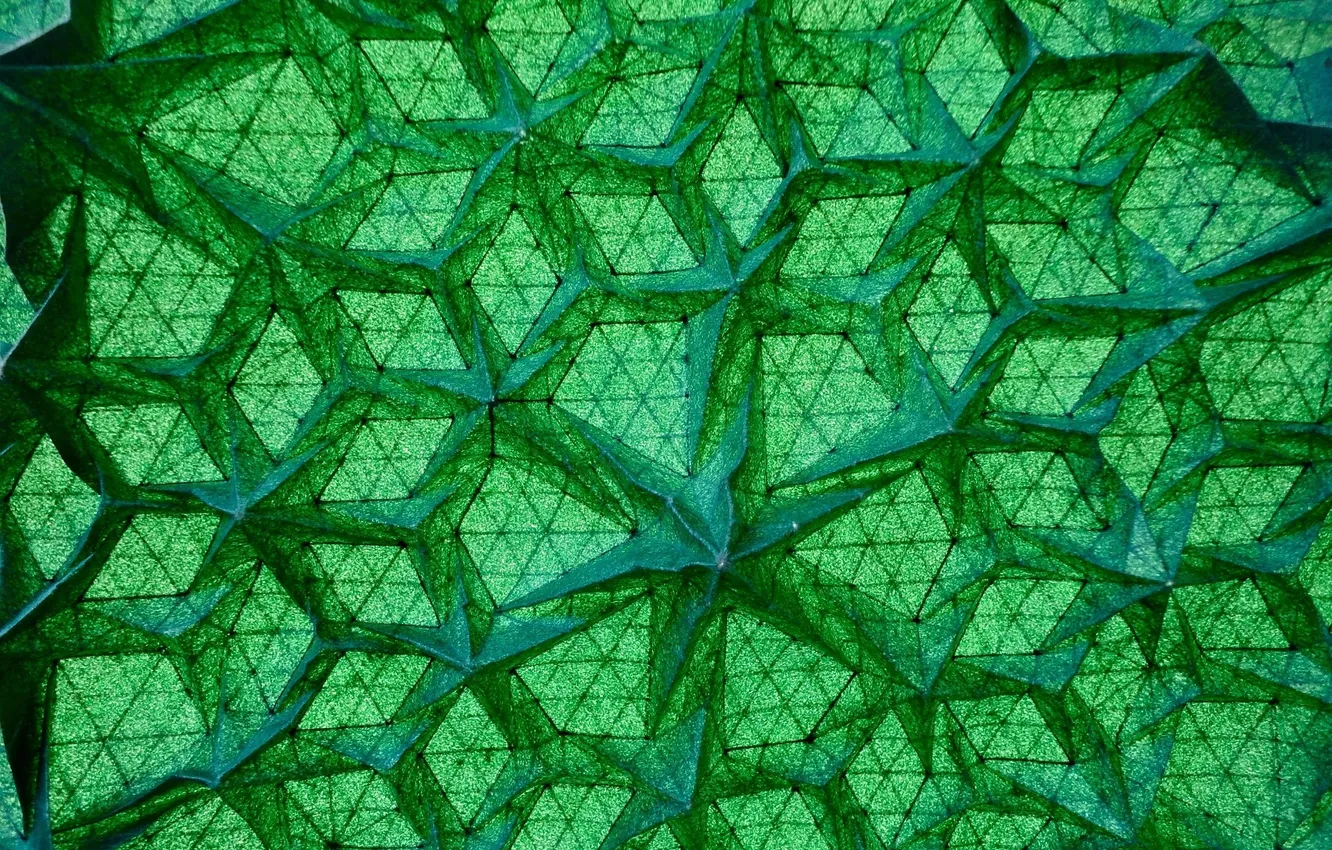 Photo wallpaper fabric, form, green