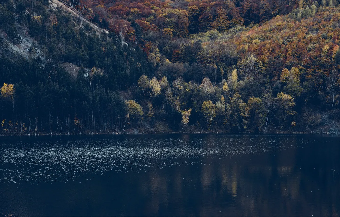 Photo wallpaper forest, mountains, ruffle, slope, pond
