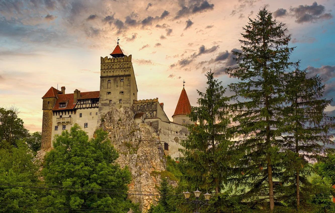 Photo wallpaper forest, the sky, clouds, trees, castle, rocks, wire, tower