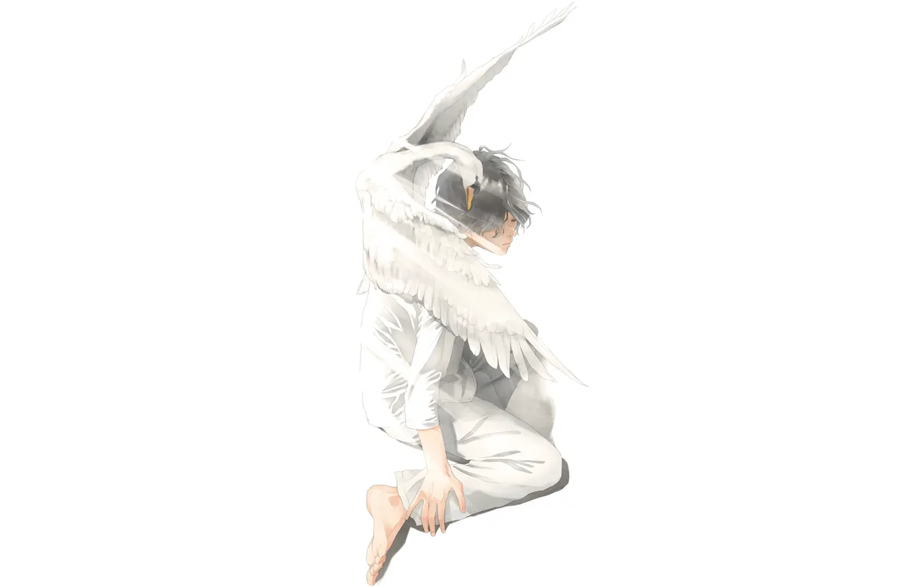 Photo wallpaper bird, art, Swan, guy, sitting