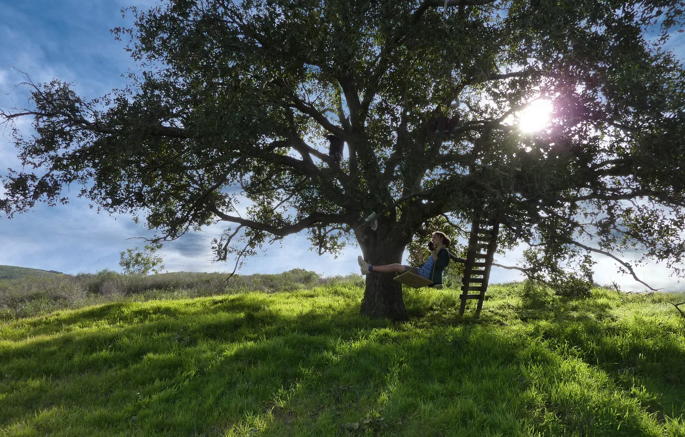 Photo wallpaper grass, girl, the sun, trees, swing, slope, ladder