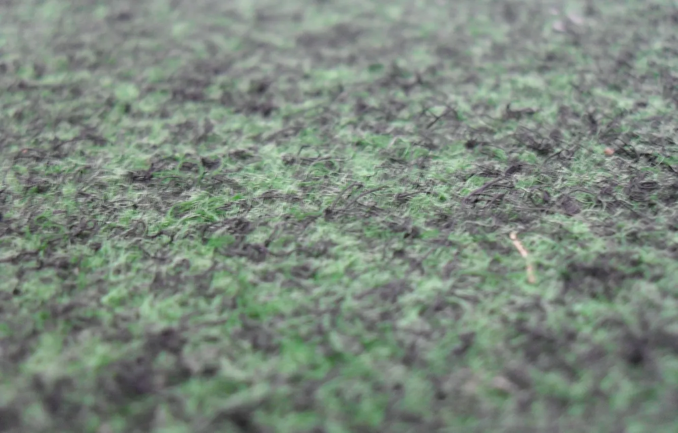 Photo wallpaper macro, green, Mat