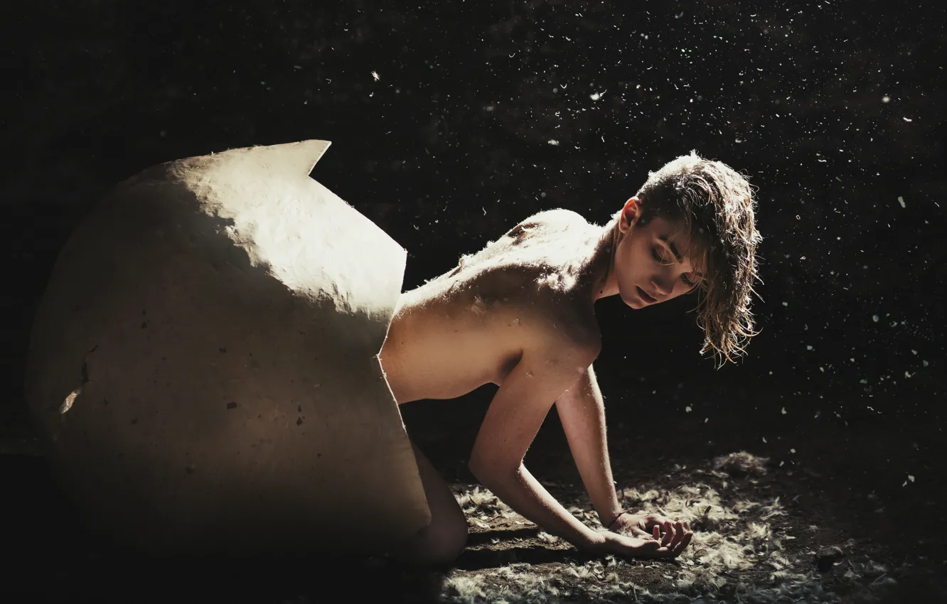 Photo wallpaper girl, light, face, pose, the dark background, back, eggs, feathers