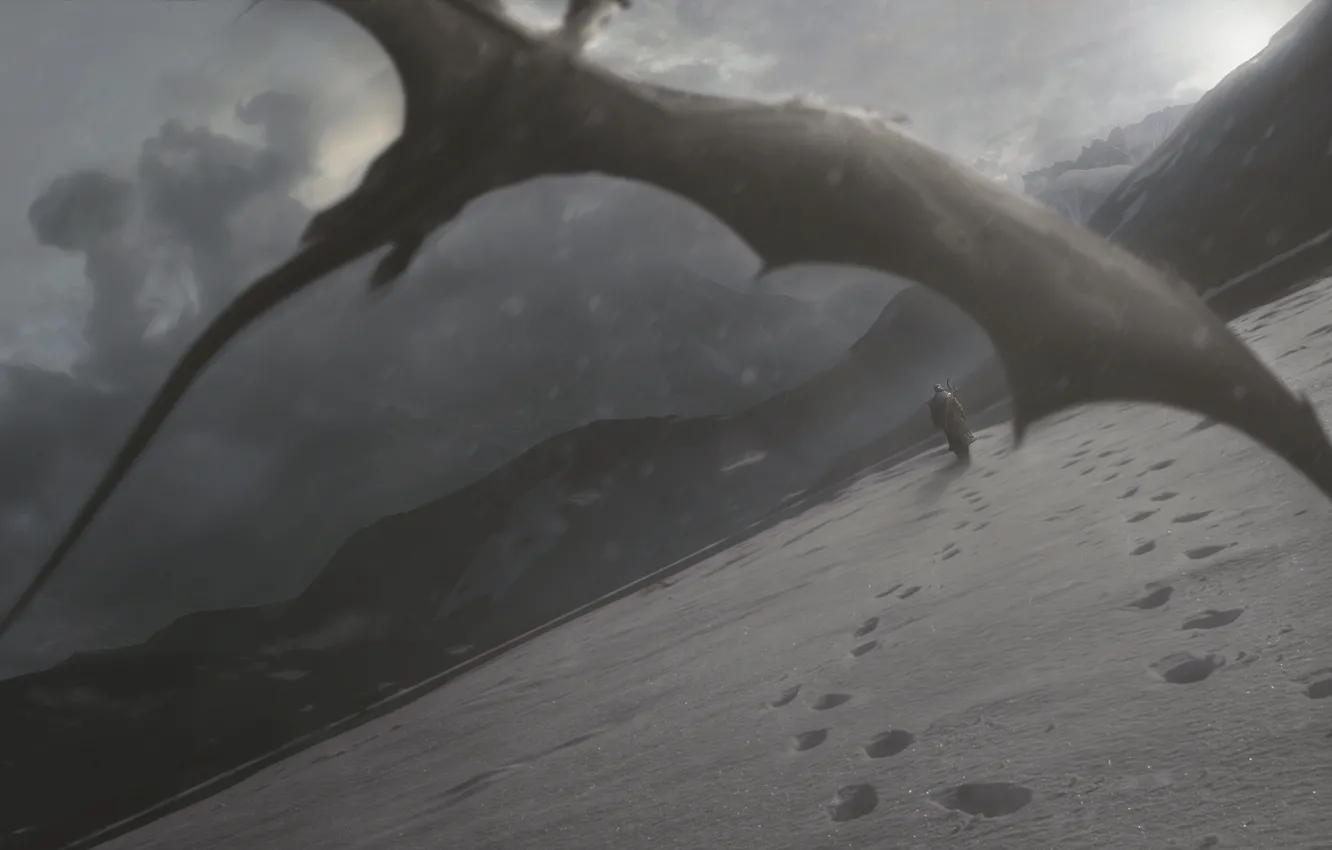 Photo wallpaper snow, traces, dragon, traveler, art