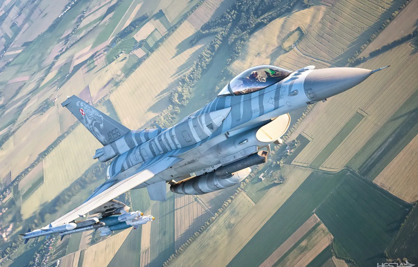 Photo wallpaper Field, Forest, F-16, Pilot, F-16 Fighting Falcon, Cockpit, Polish air force, Bomb
