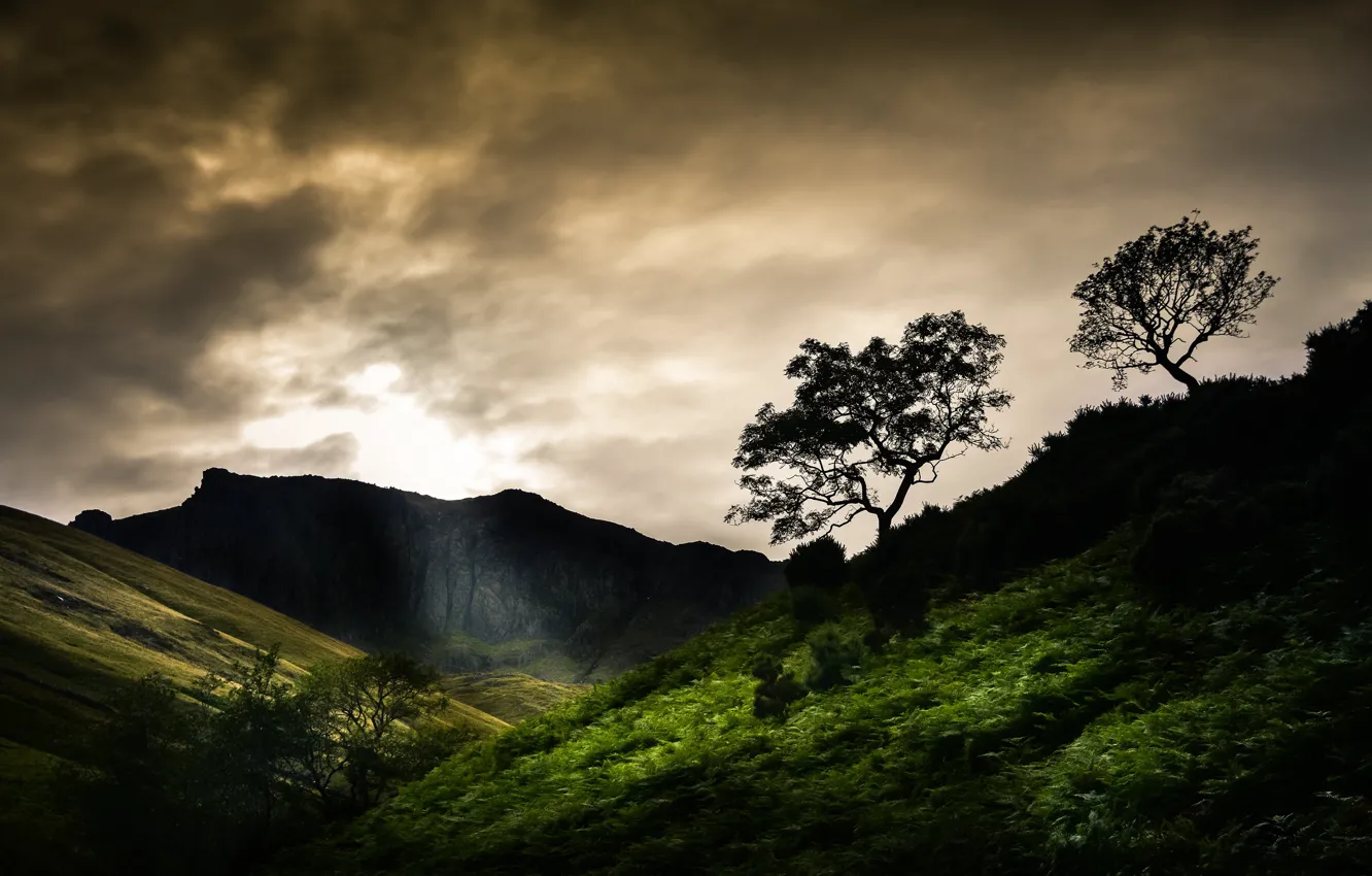 Photo wallpaper greens, the sky, clouds, light, trees, mountains, clouds, overcast