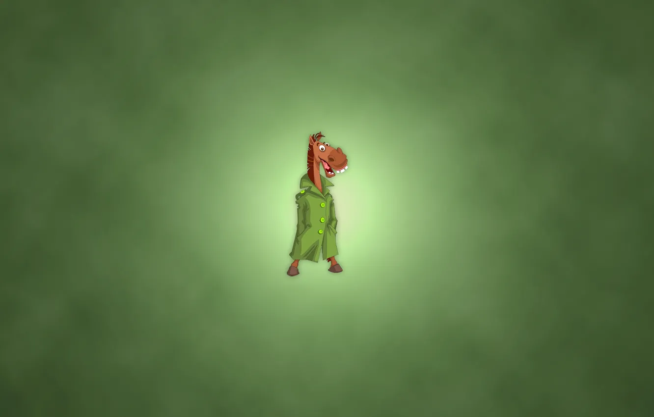 Photo wallpaper smile, minimalism, green background, the horse's coat