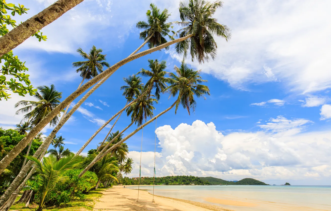Photo wallpaper sand, sea, beach, summer, the sky, the sun, palm trees, shore