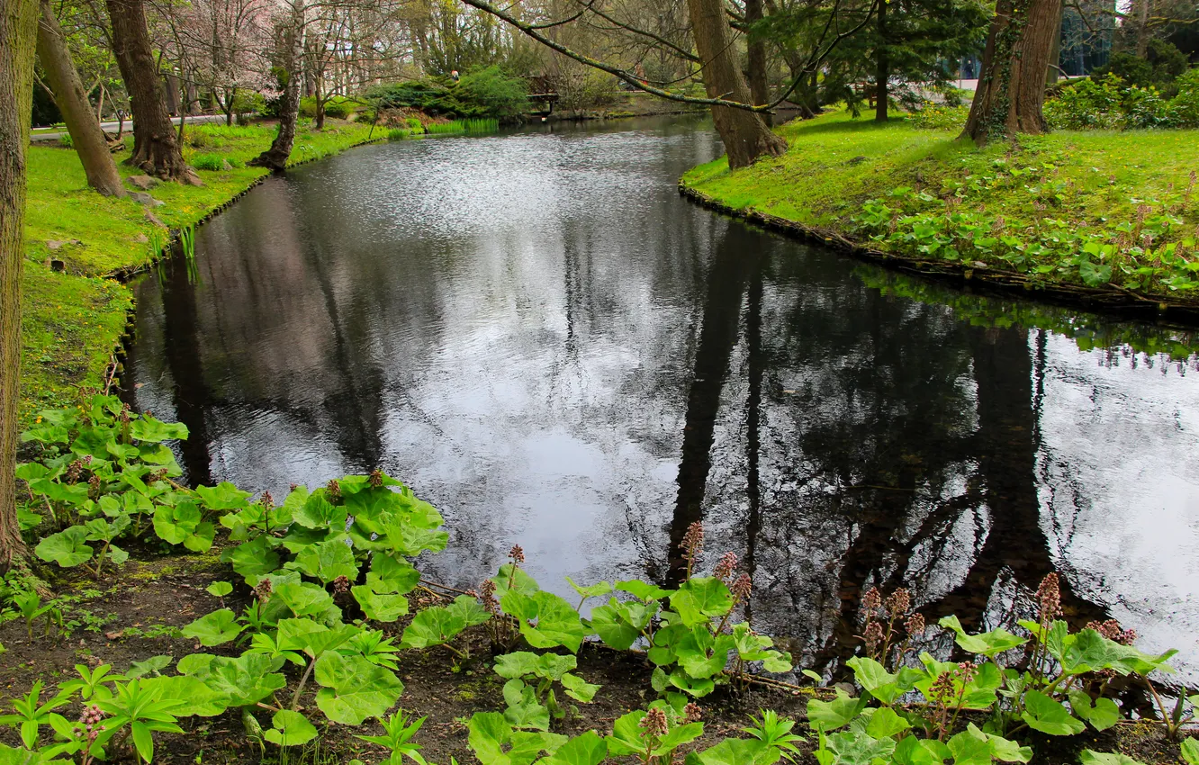 Photo wallpaper water, park, lake, pond