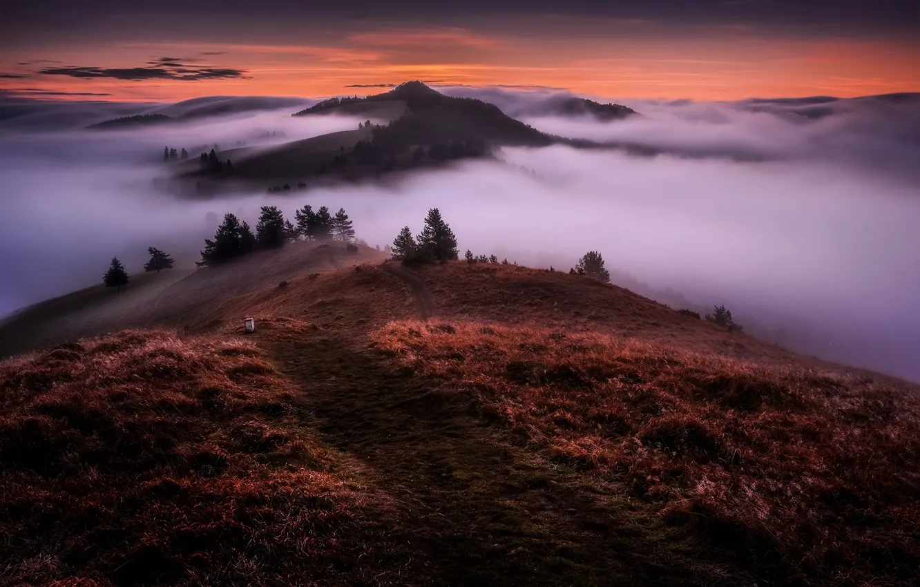 Photo wallpaper clouds, landscape, mountains, nature, fog, morning