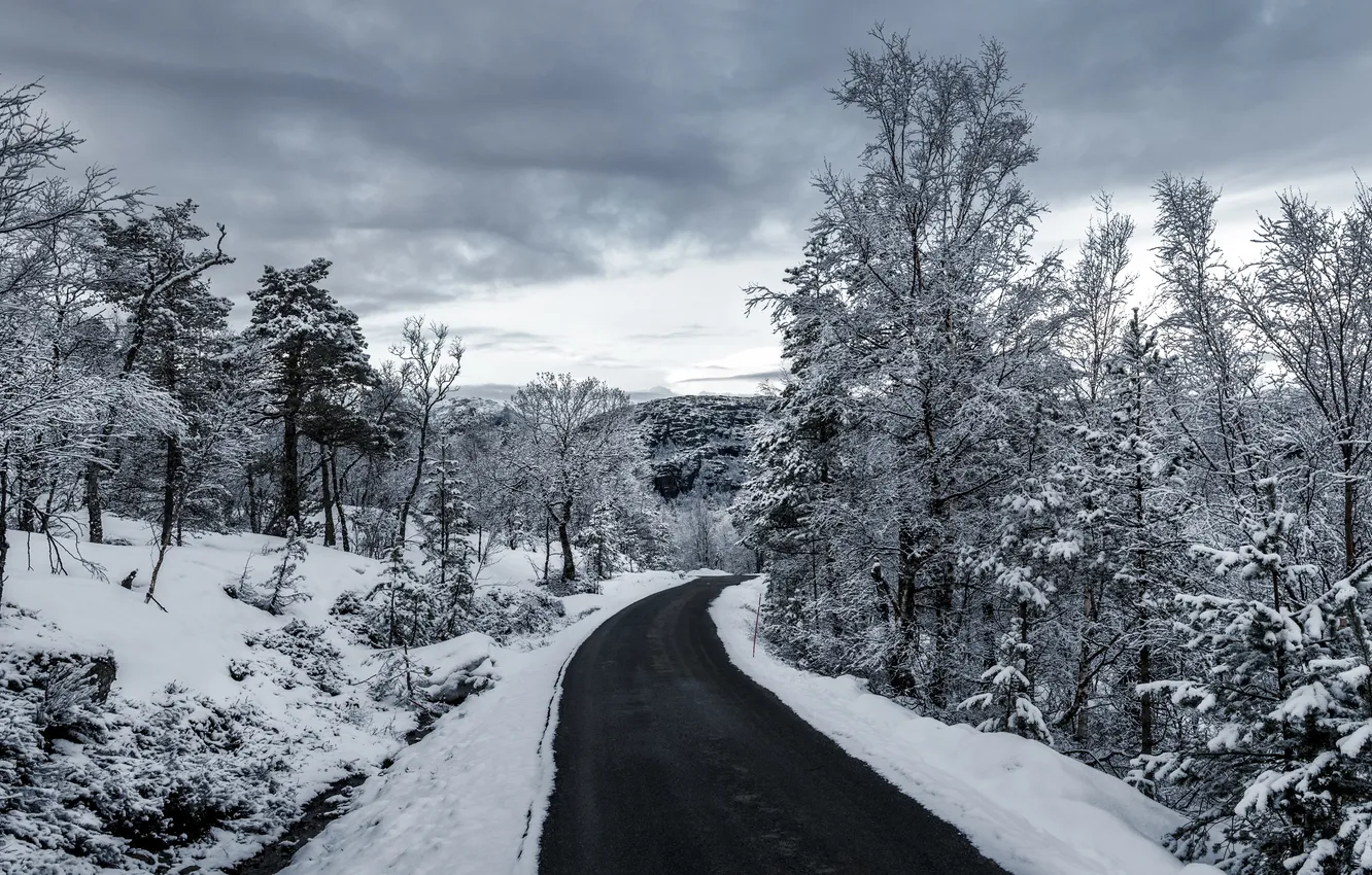 Photo wallpaper winter, road, snow, trees, gray clouds