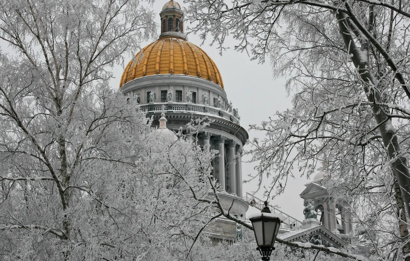 Photo wallpaper winter, frost, trees, the city, architecture, St. Isaac's Cathedral