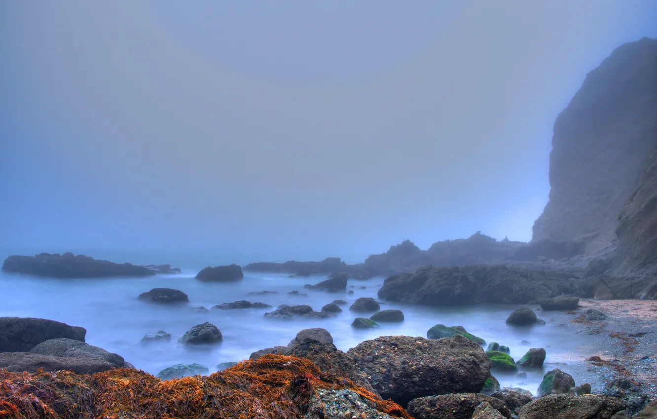 Photo wallpaper sea, stones, rocks, moss, morning