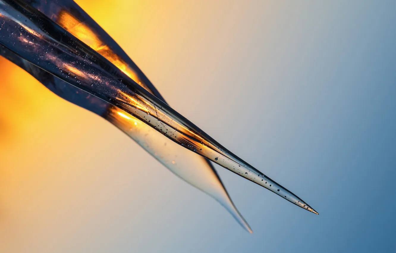 Photo wallpaper cold, ice, the sun, bubbles, icicles, sharp