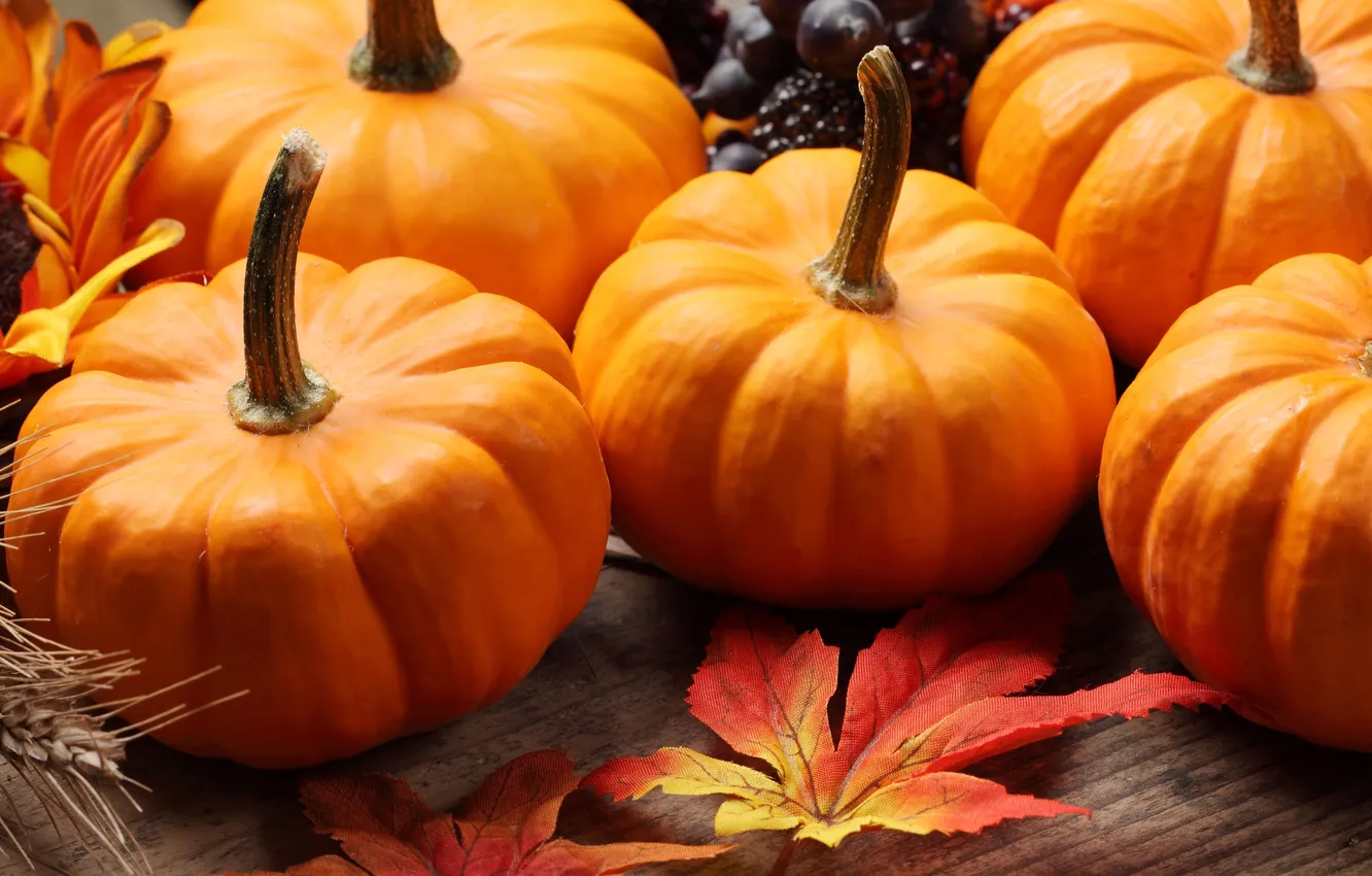 Photo wallpaper autumn, leaves, sunflowers, flowers, ears of wheat