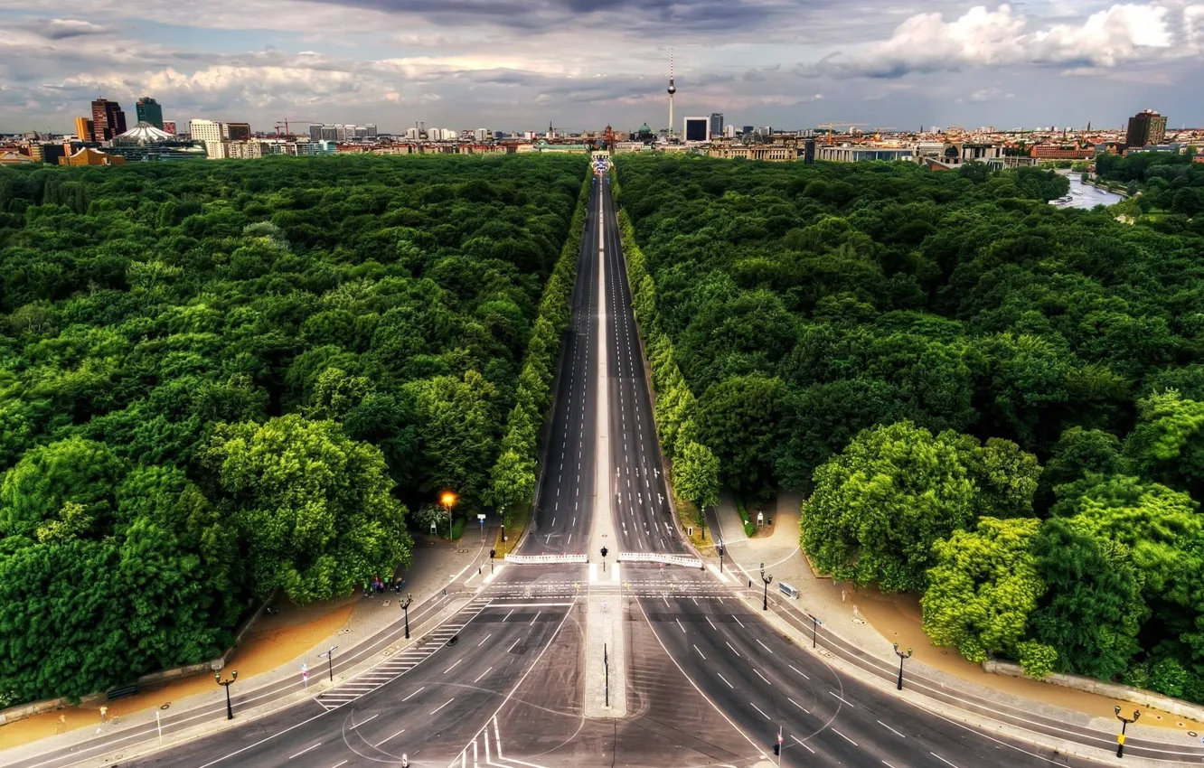 Photo wallpaper road, forest, dal