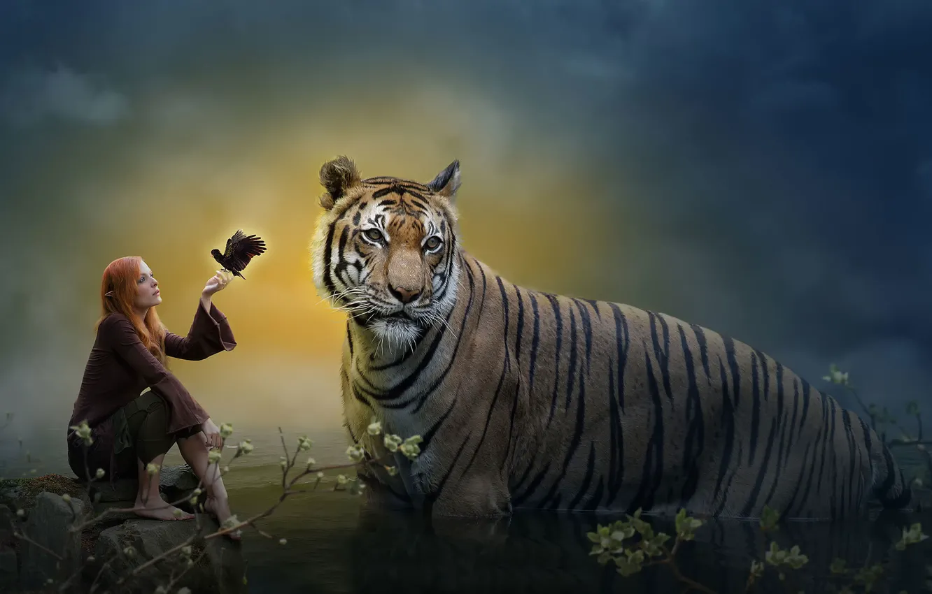 Photo wallpaper tiger, fantasy, art, Elf