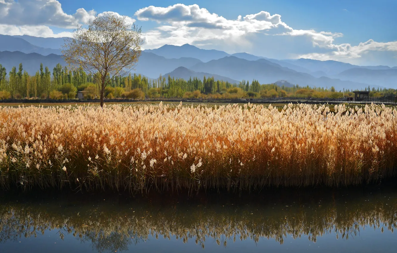 Photo wallpaper summer, mountains, lake, river, kamyshi