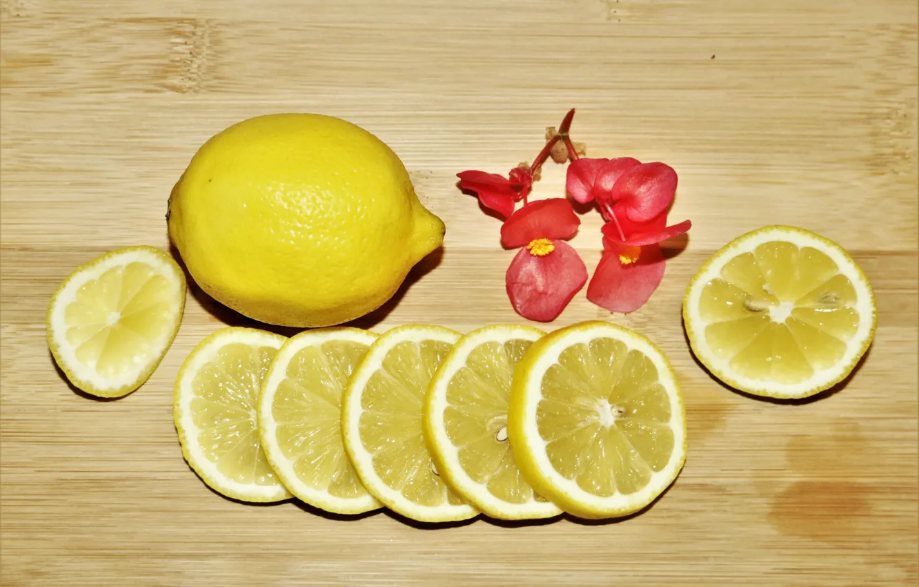 Photo wallpaper flowers, lemon, slices