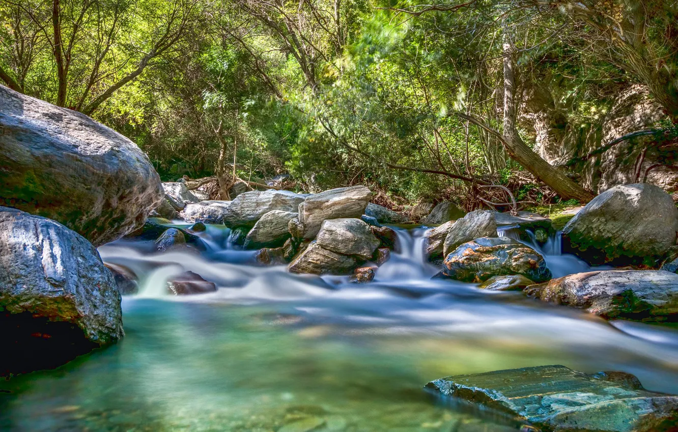 Photo wallpaper forest, river, stones, stream