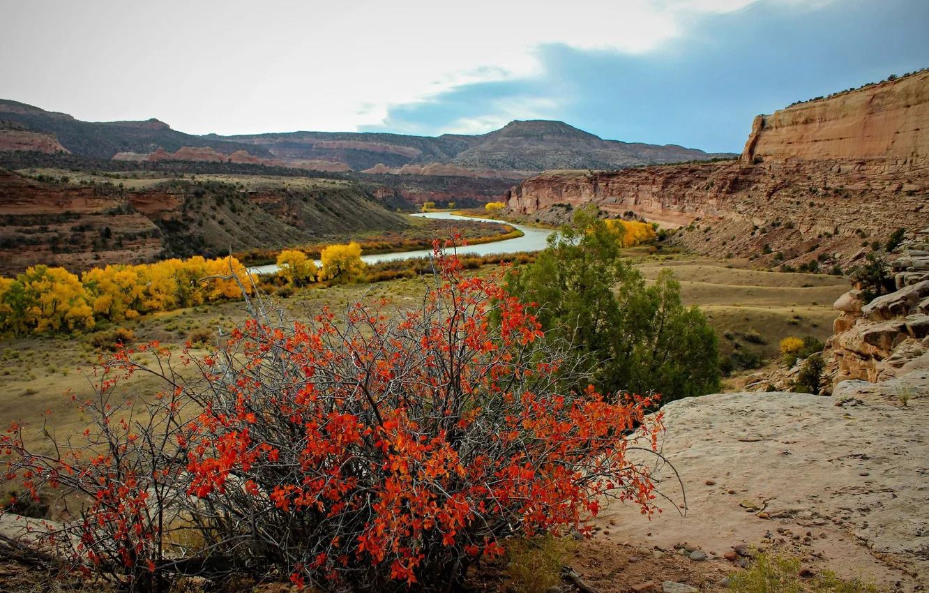 Photo wallpaper autumn, the sky, rocks, the bushes