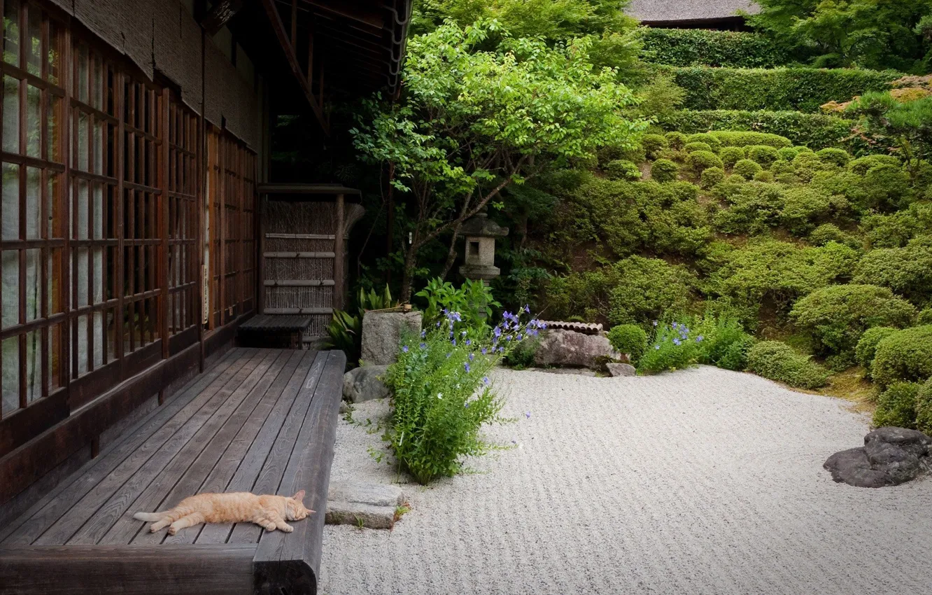 Photo wallpaper sand, cat, cat, trees, house, Japan, garden, the bushes