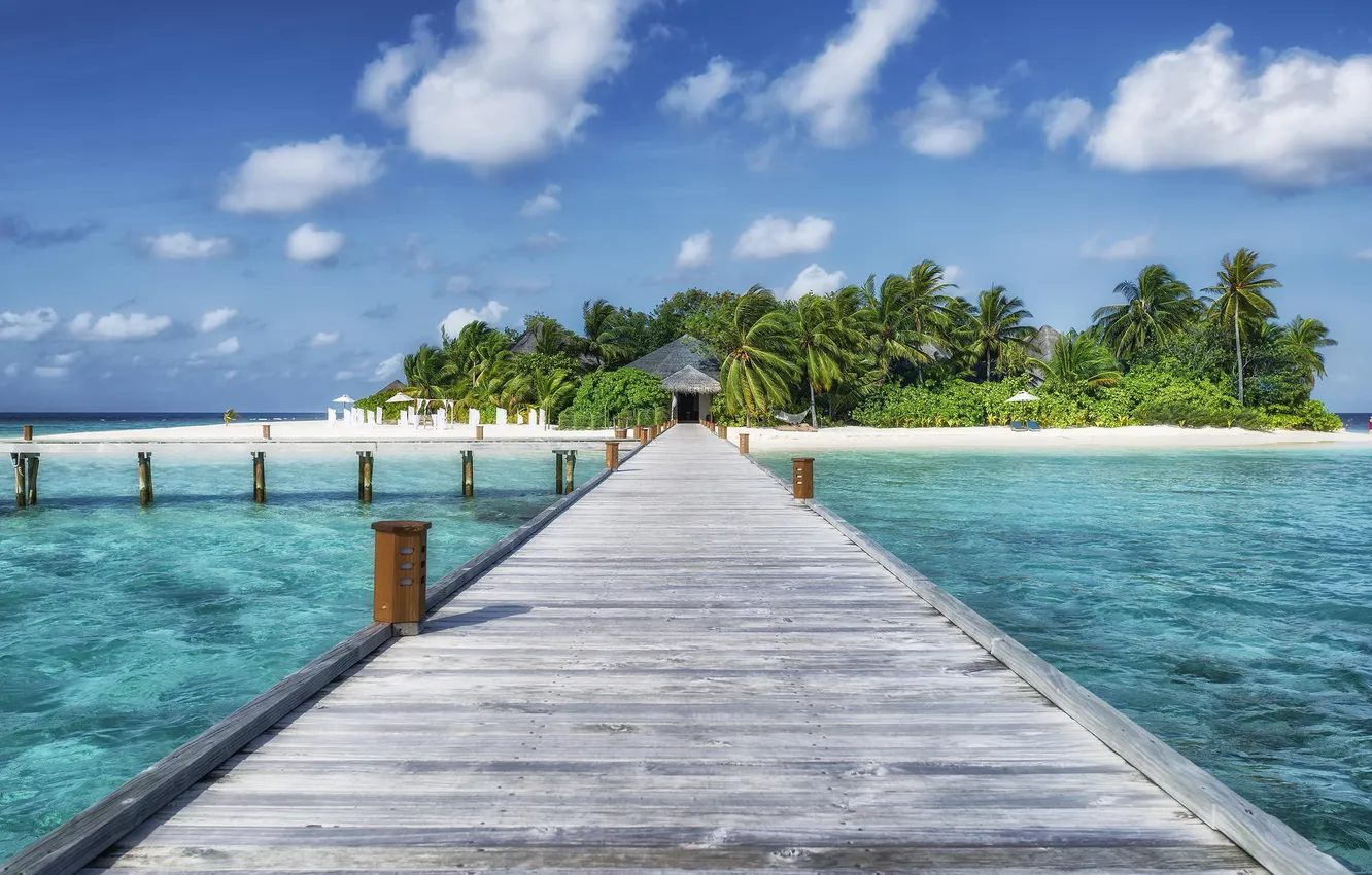 Photo wallpaper sand, sea, beach, summer, water, landscape, nature, palm trees