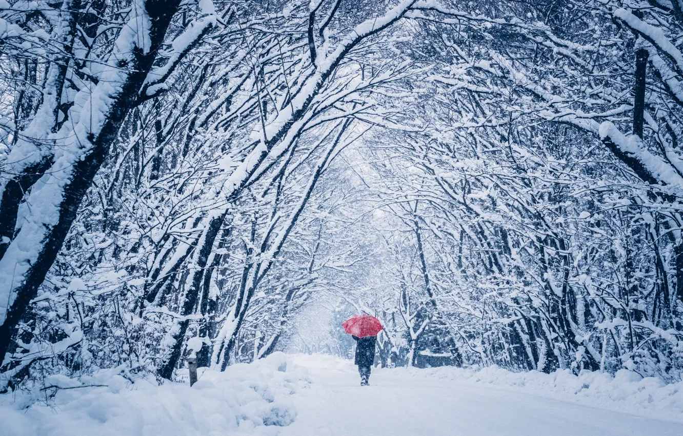 Photo wallpaper winter, snow, people, umbrella, walk