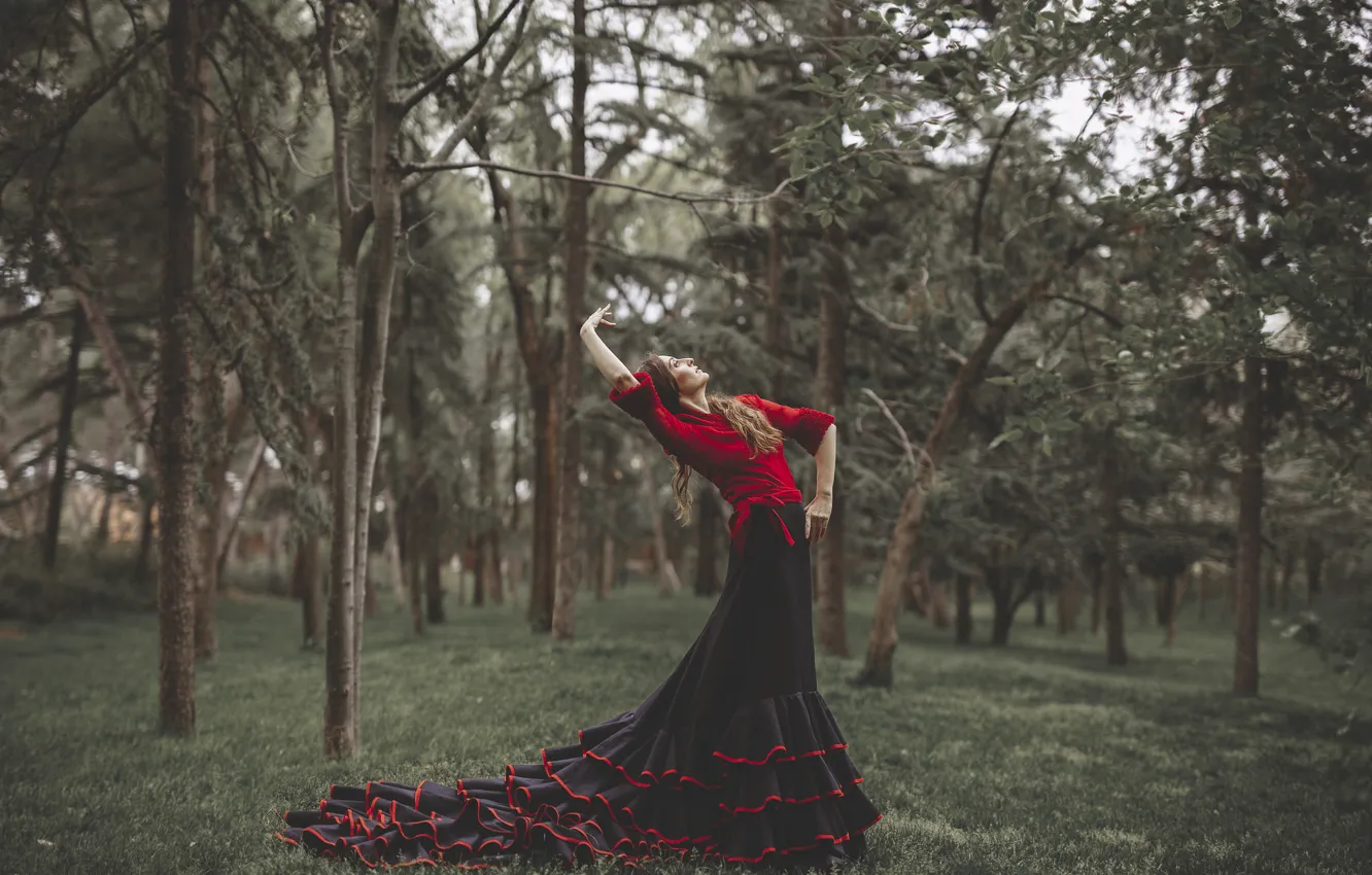 Photo wallpaper forest, girl, face, pose, style, hair, dress