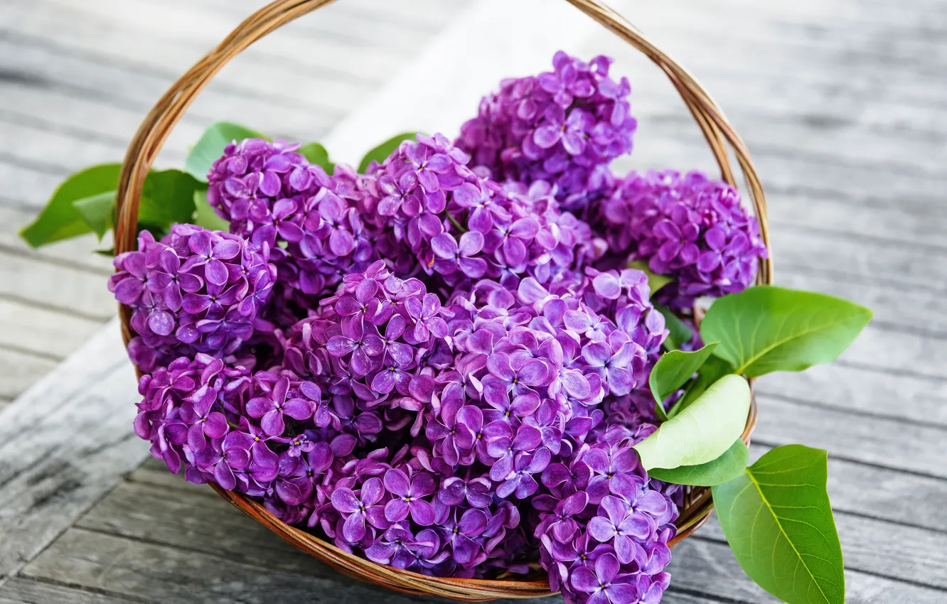 Photo wallpaper flowers, lilac, spring, purple, basket, lilac