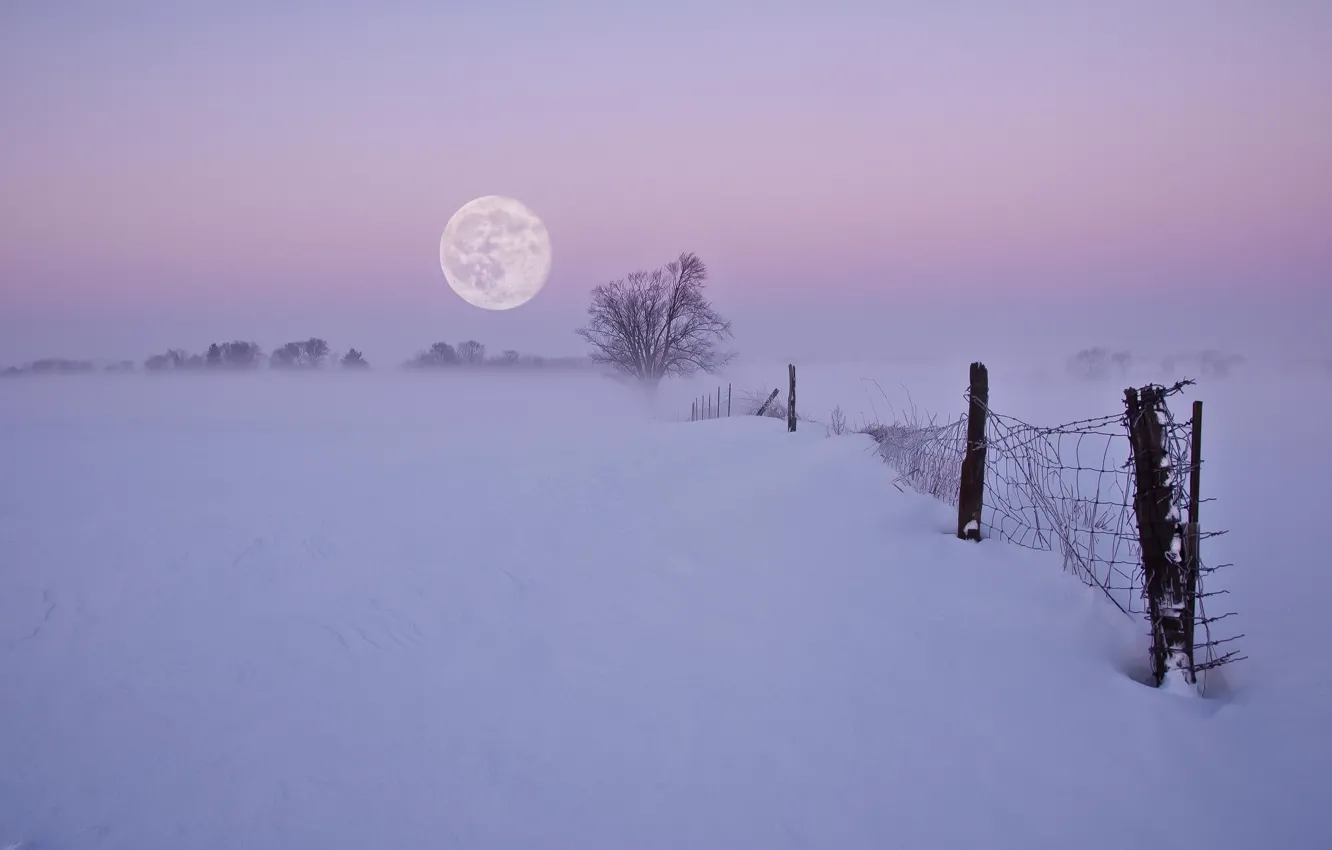 Photo wallpaper winter, snow, night, fog, the moon, the fence