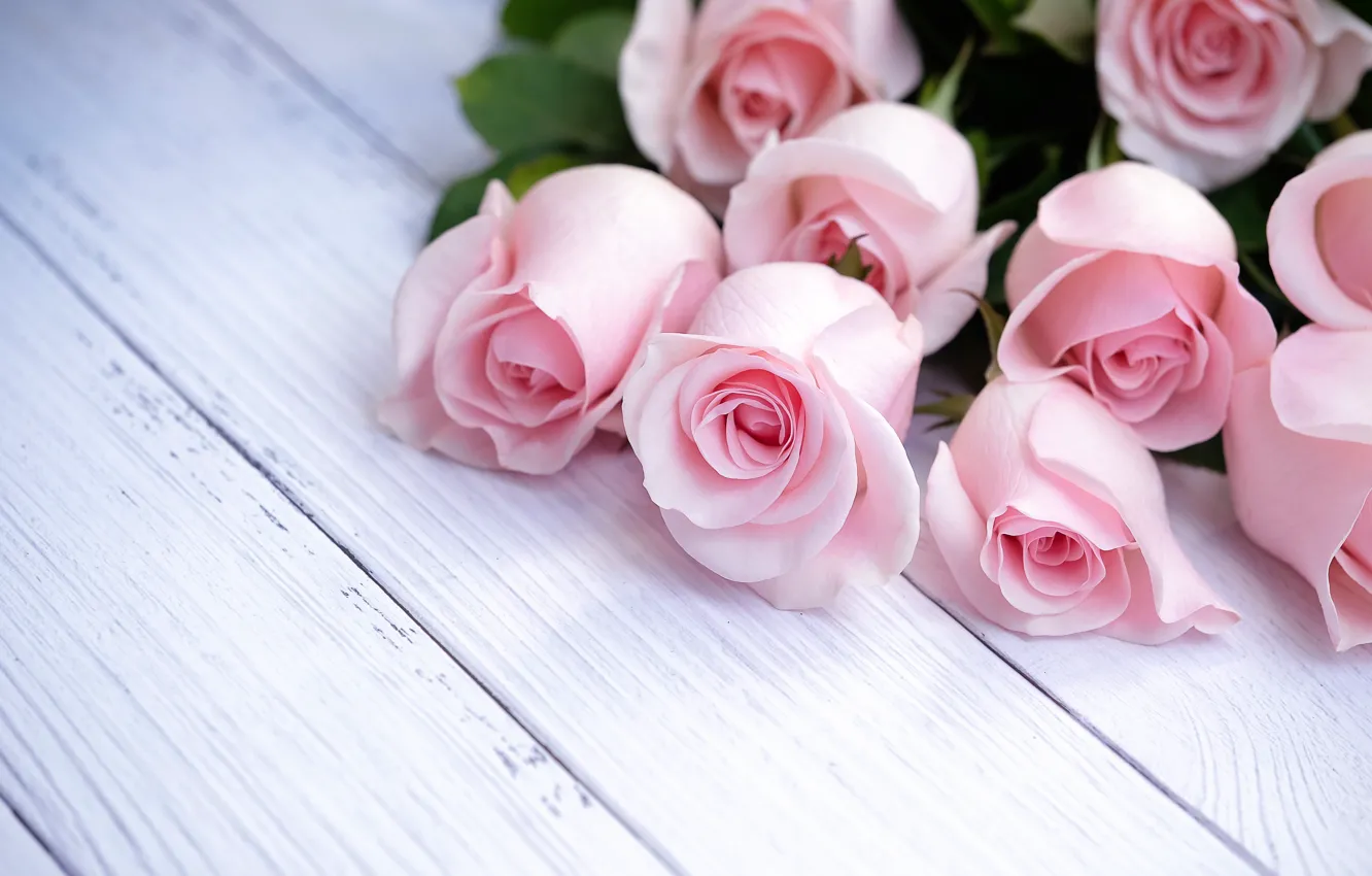 Photo wallpaper roses, bouquet, pink, pink, roses