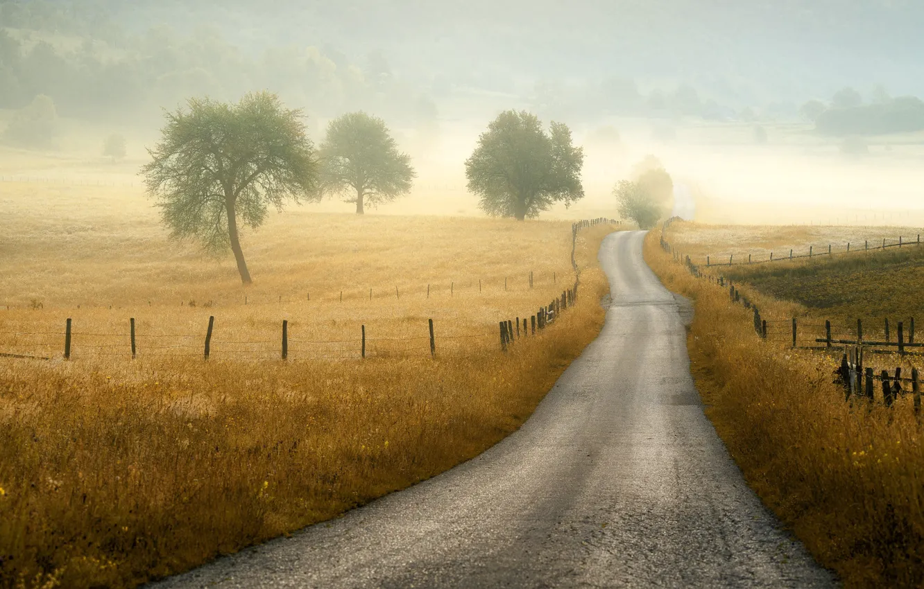 Photo wallpaper road, grass, trees, nature, fog, Adnan Bubalo