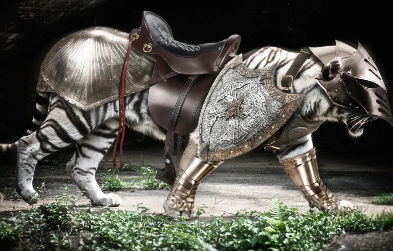 Photo wallpaper armor, tiger, predator, warrior, tora