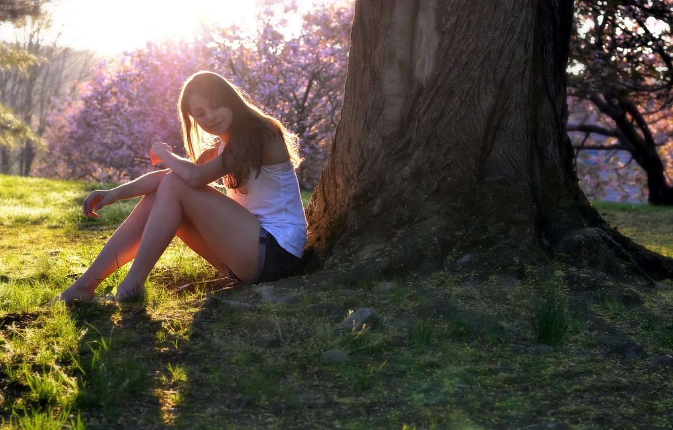 Photo wallpaper girl, light, trees, mood, shadow