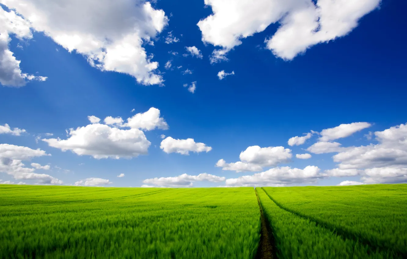 Photo wallpaper road, field, clouds