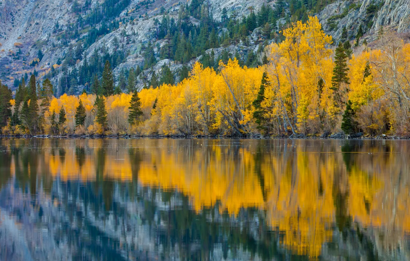 Photo wallpaper autumn, trees, mountains, lake, reflection