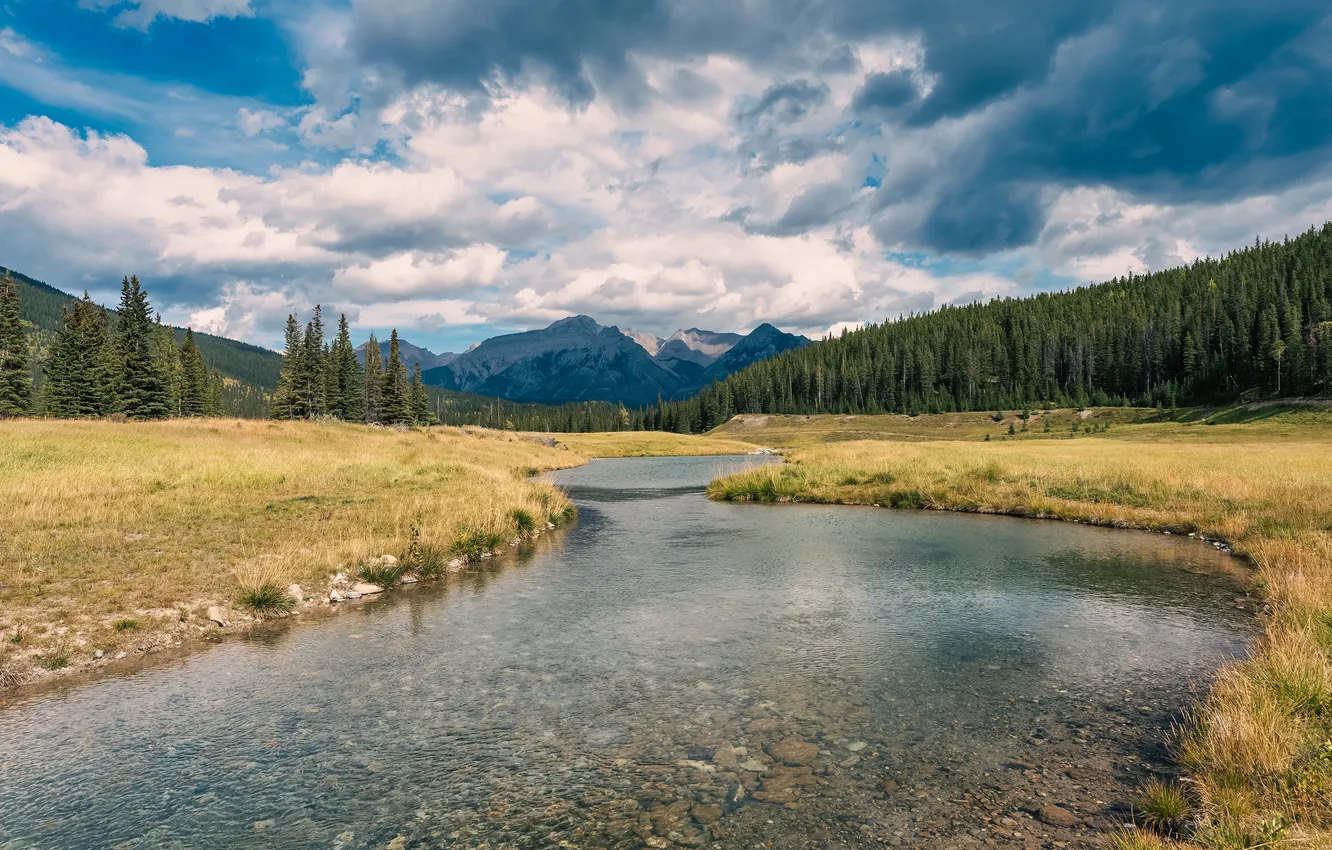 Photo wallpaper forest, clouds, mountains, river