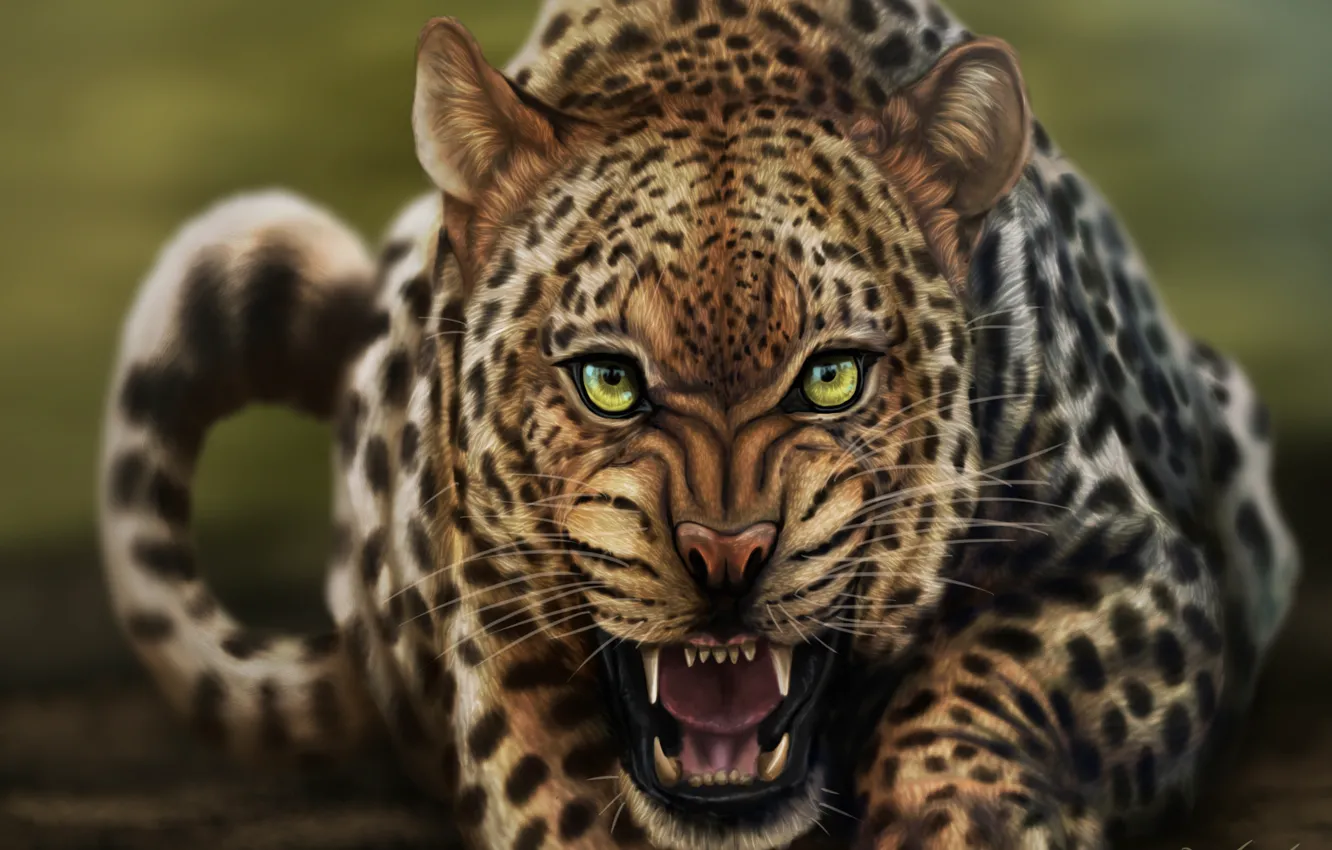 Photo wallpaper cat, look, face, art, leopard, growl