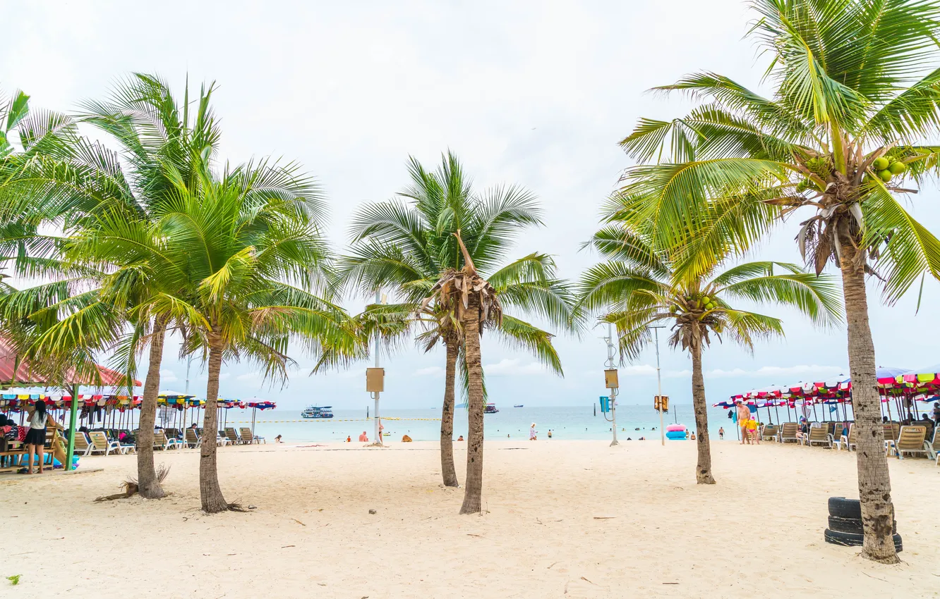 Photo wallpaper sand, sea, beach, summer, the sky, palm trees, summer, beach