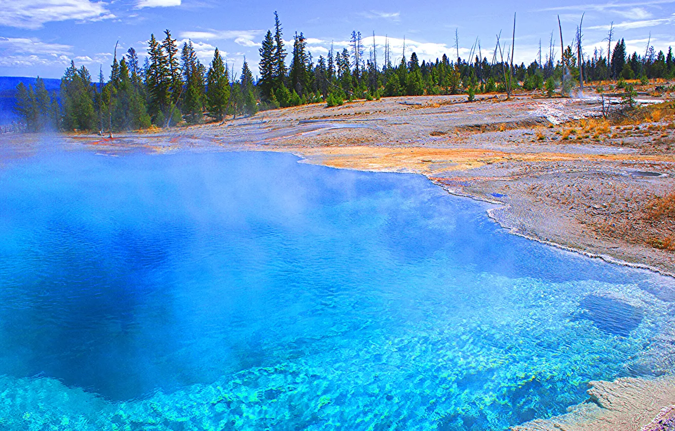 Photo wallpaper the sky, trees, lake, pair, USA, geyser, Yellowstone National Park